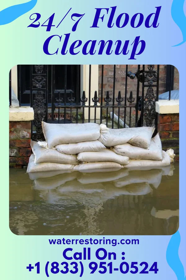 24/7 Flood Cleanup in Bellville, TX