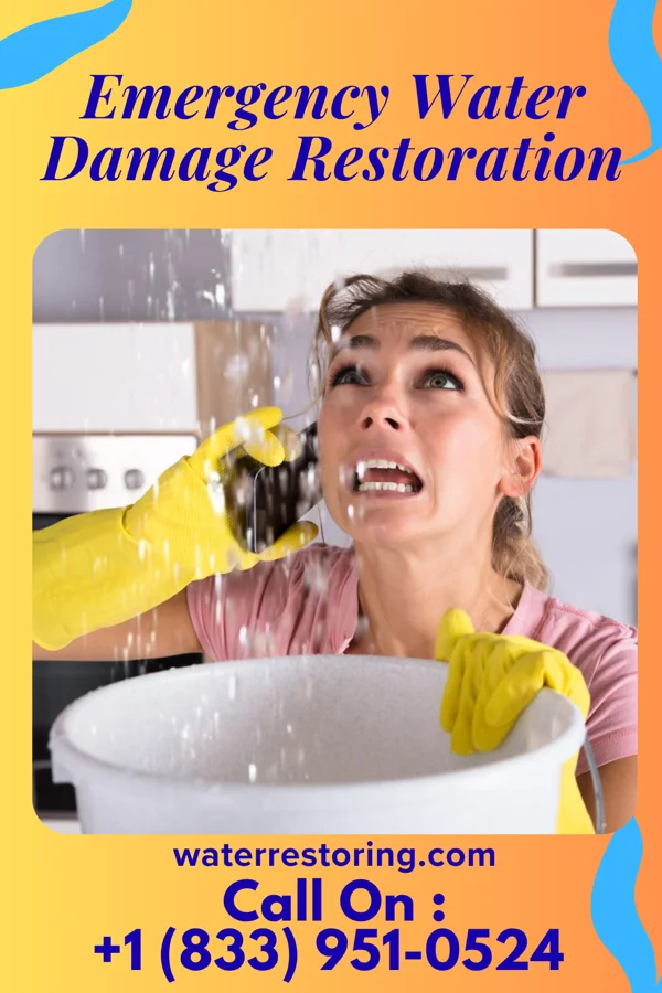 Emergency Water Damage Restoration in Bellville, TX