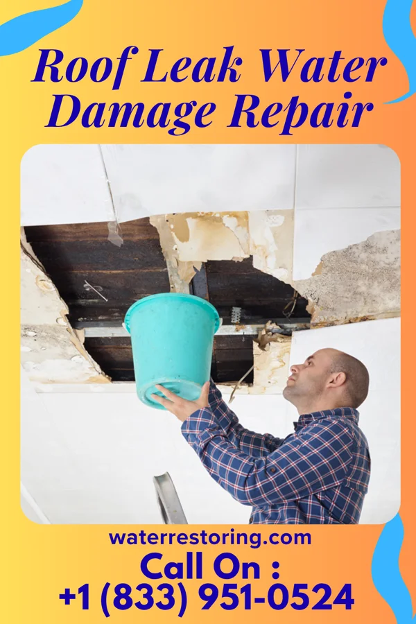 Roof Leak Water Damage Repair in Bellville, TX