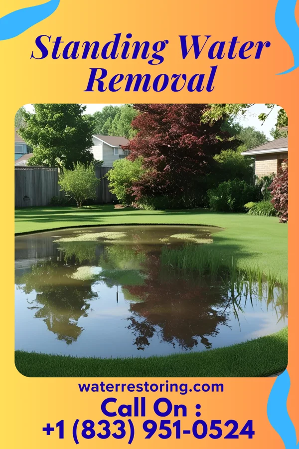 Standing Water Removal in Bellville, TX
